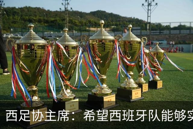 西足协主席：希望西班牙队能够实现夺冠的目标，但必须一步一步来